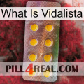 What Is Vidalista new11